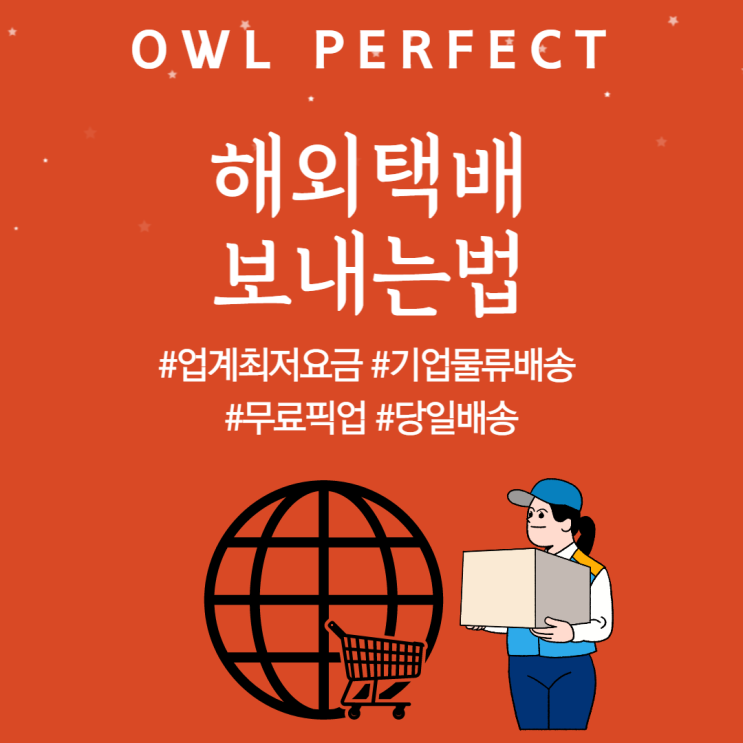  해외택배보내는법(우체국EMS, FedEx,UPS ,DHL등)