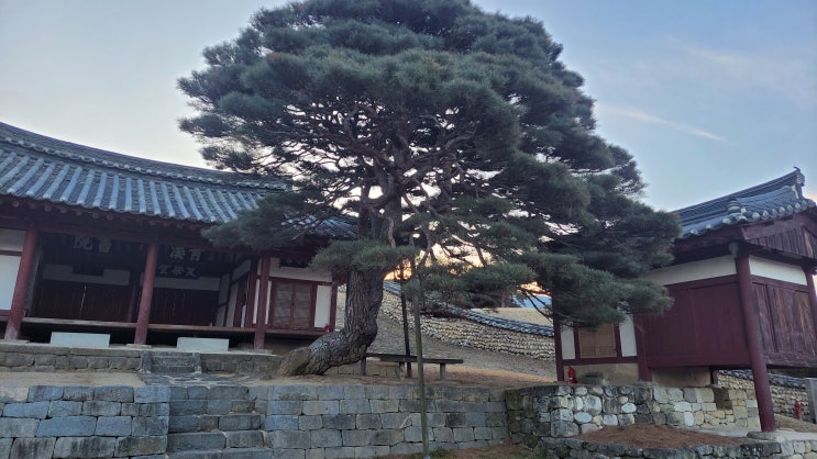  [경남 함양] 청계서원 - 김일손과 무오사화