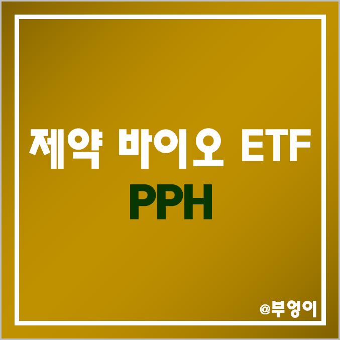 미국 제약 바이오 관련 ETF - PPH (피부 미용 및 보톡스 관련주) 미국 제약 바이오 관련 ETF - PPH (피부 미용 및 보톡스 관련주)