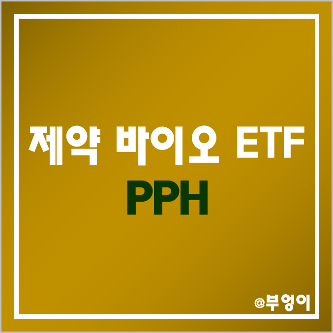 미국 제약 바이오 관련 ETF - PPH (피부 미용 및 보톡스 관련주)