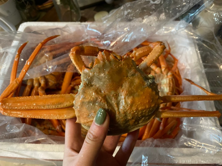  홍게 맛집, 서민갑부 홍게 대게 '감동수산' 택배로 간단하게 먹기