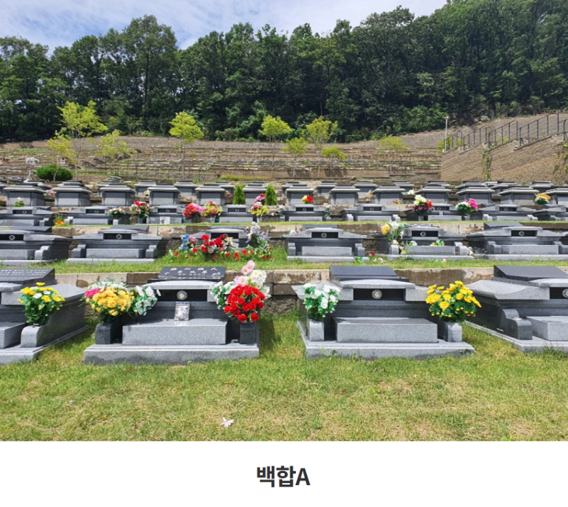 삼성엘리시움 경기도 광주시 오포읍 추모공원묘지 정보 (가족묘/봉안묘/매장묘) : 네이버 블로그