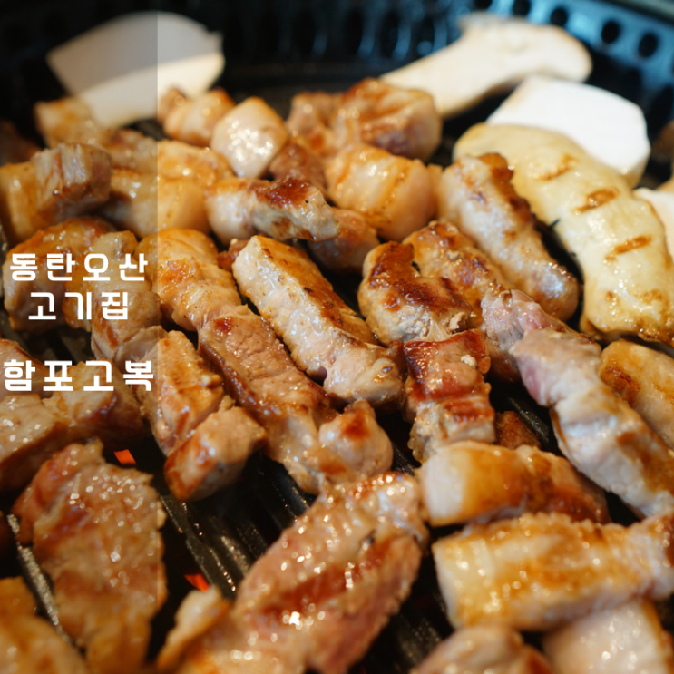  동탄 고기 맛집 오산 함포고복 삼겹살 선지해장국