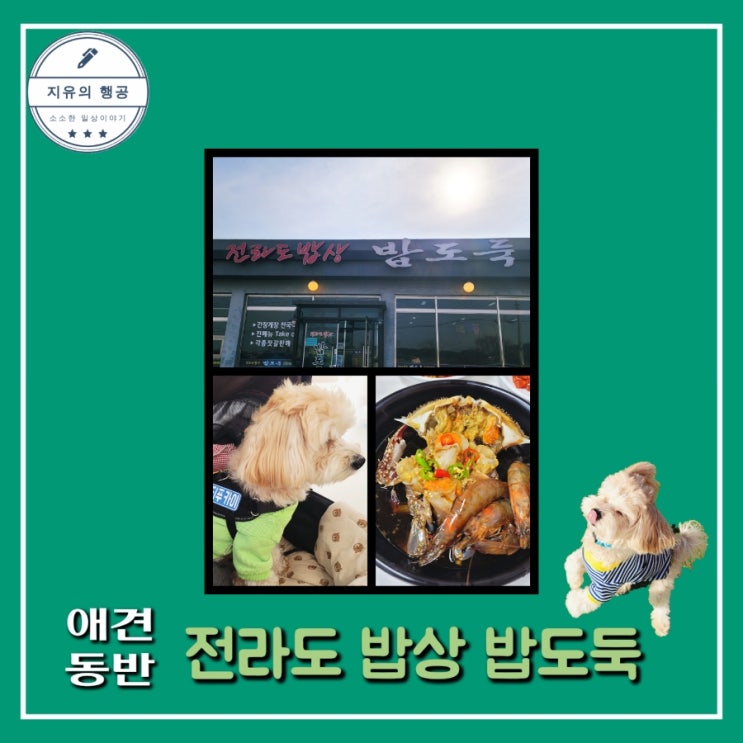  안면도 맛집 전라도 밥상 밥도둑 애견동반 식당 내돈내산