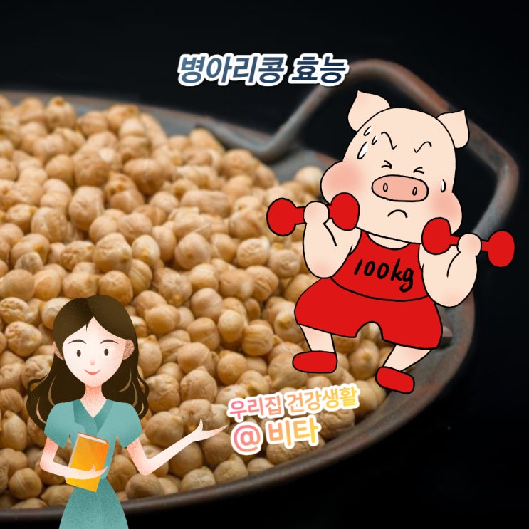  병아리콩 효능 칼로리 부작용