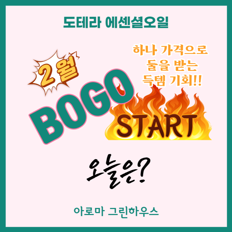  2월~ 도테라 보고(BOGO)! 오늘부터 스타~뚜~~!!