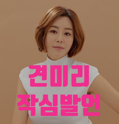  견미리 남편 이홍헌 딸 이다인 사위 이승기 더팩트 인터뷰 공식입장