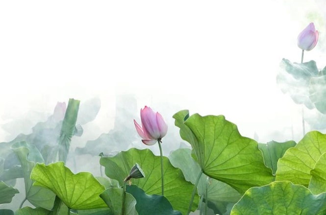 [명상] 호흡명상, 아나빠나사띠 - 부처님께서 깨달음을 얻으신 명상법, 보디야나선원 혜안스님