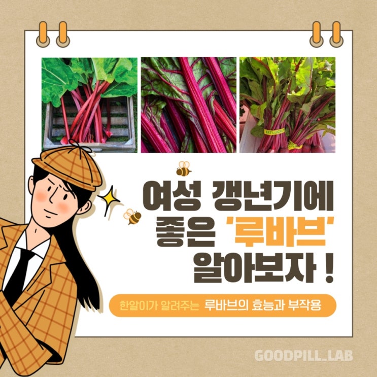  여성갱년기에 특히 좋다고? '루바브의 효능과 부작용'