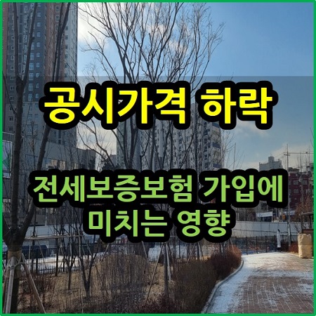 공시가격 하락이 전세가 보증보험 가입에 미치는 영향