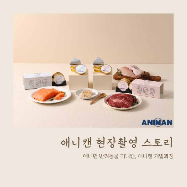  반려동물 미니캔, 애니캔 현장 촬영 스토리