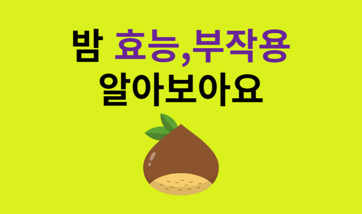 밤 효능, 부작용 알아보아요