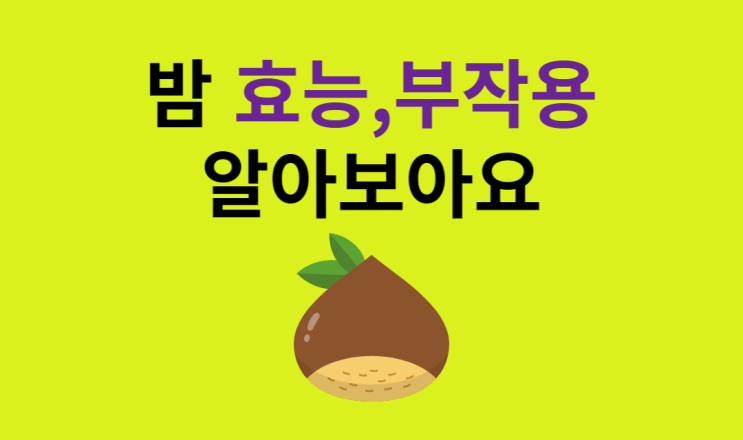 밤 효능, 부작용 알아보아요