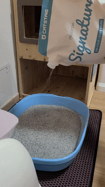  먼지없는모래 캣츠태그 묘래 시그니처 벤토나이트