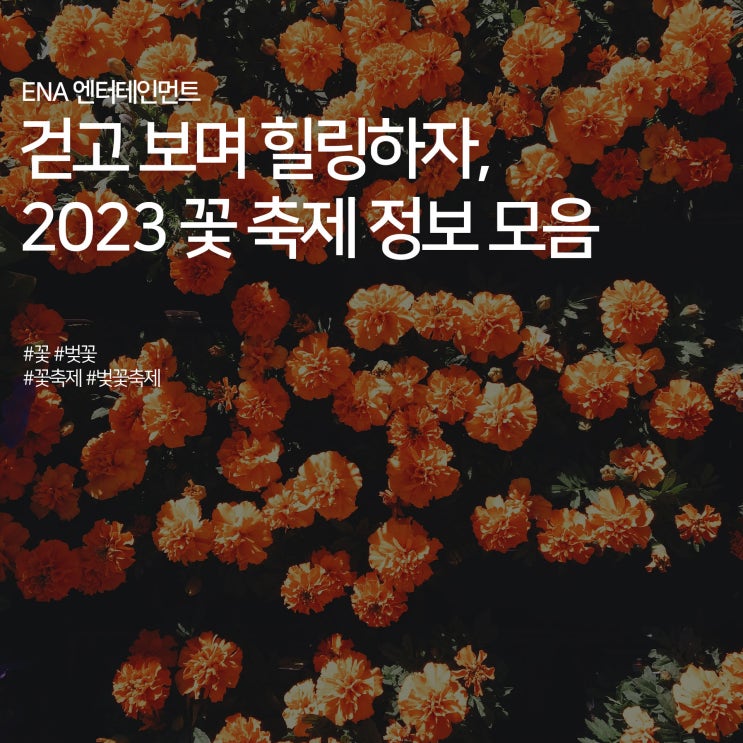  2023년 꽃 축제 정보 모음 :: 데이트 장소 추천