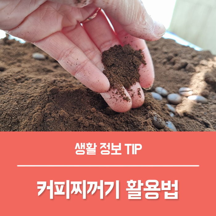  커피가루 커피찌꺼기 활용법 베스트 6, 화분 거름 방향제 등