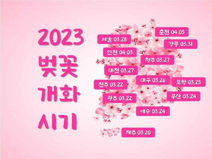2023년 벚꽃 개화시기 진해군항제 축제 벚꽃명소