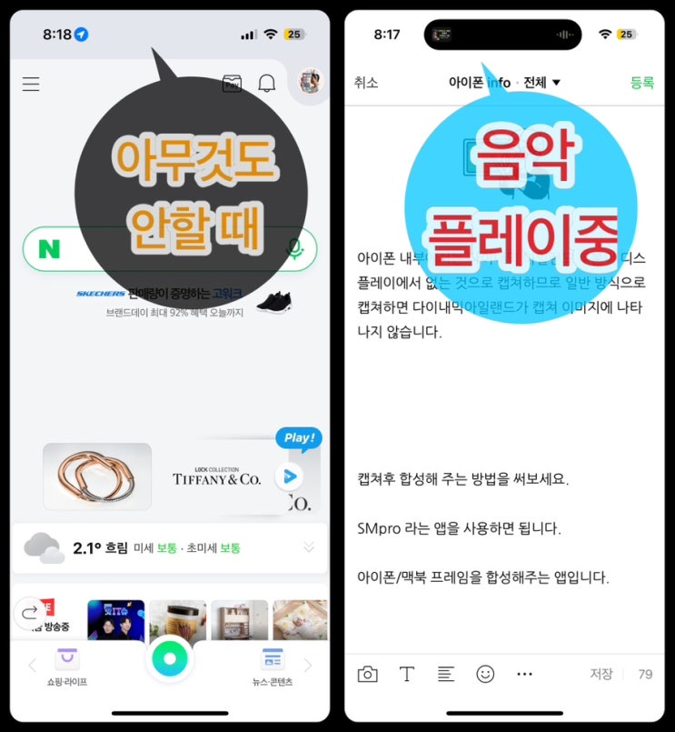  [Q&A] 아이폰 다이내믹 아일랜드 캡쳐 방법 없을까요?