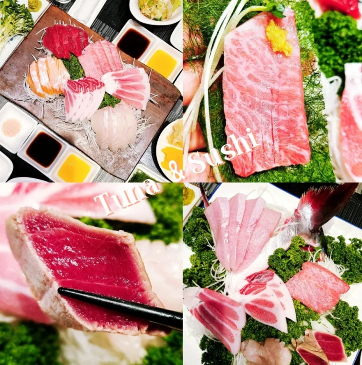 삼성역 선릉역 참치 정참치 일식집 인생맛집 추가! 로얄코스 상세후기 삼성역 선릉역 참치 정참치 일식집 인생맛집 추가! 로얄코스 상세후기