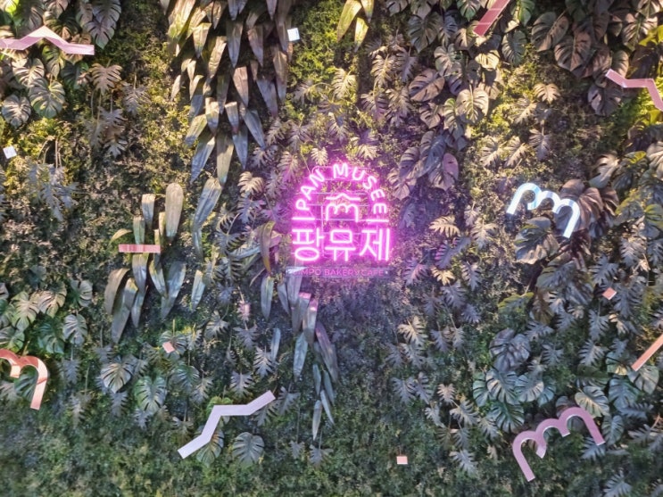  김포 베이커리 카페 풍무동 카페 팡뮤제