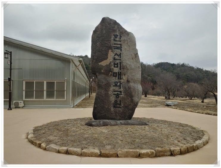 ‘봄을 기다리다’, ‘봄을 알리다’, ‘봄을 기약하다’_'군자를 품은 마음, 매화전'_경북 영주 선비 매화공원를 가다. ‘봄을 기다리다’, ‘봄을 알리다’, ‘봄을 기약하다’_'군자를 품은 마음, 매화전'_경북 영주 선비 매화공원를 가다.