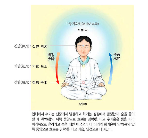  운동 하는 분들은 정단 수행 꼭 하셔야 합니다.