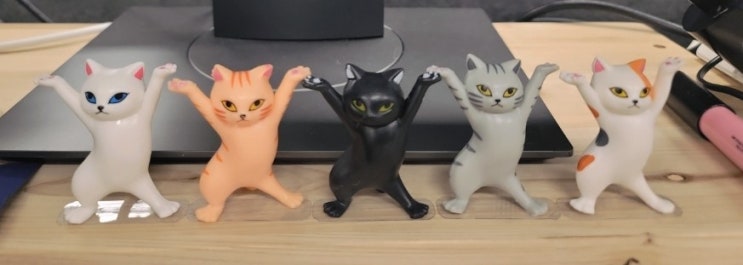  여러분의 힐링아이템은 무엇인가용?