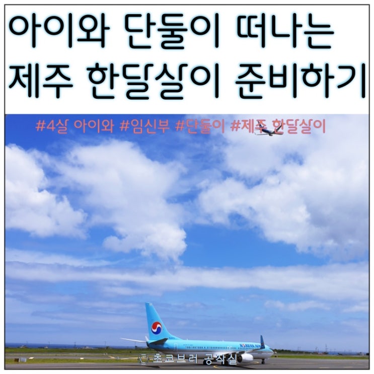 4살 아이와 <b>임신부</b> 단둘이 <b>제주</b> 한달살이 준비과정, 꿀팁 및 예산