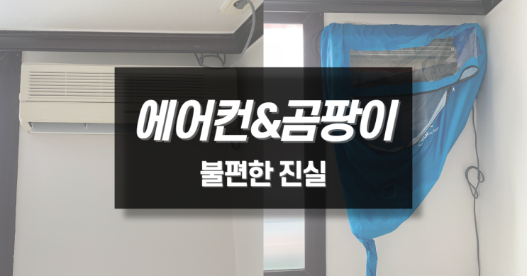  울산 에어컨 곰팡이제거는 전문청소업체에서 완벽하게!!