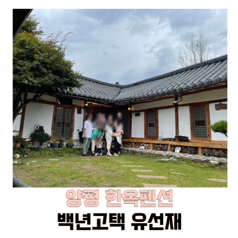 사진 3