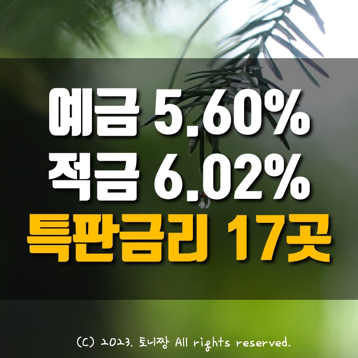 오늘의 예금특판 연5.6%, 적금특판 6.02% 최신 고금리 17곳 목록 종로중앙 파주 제물포 팔공 큰고개 성일 송림 새마을금고