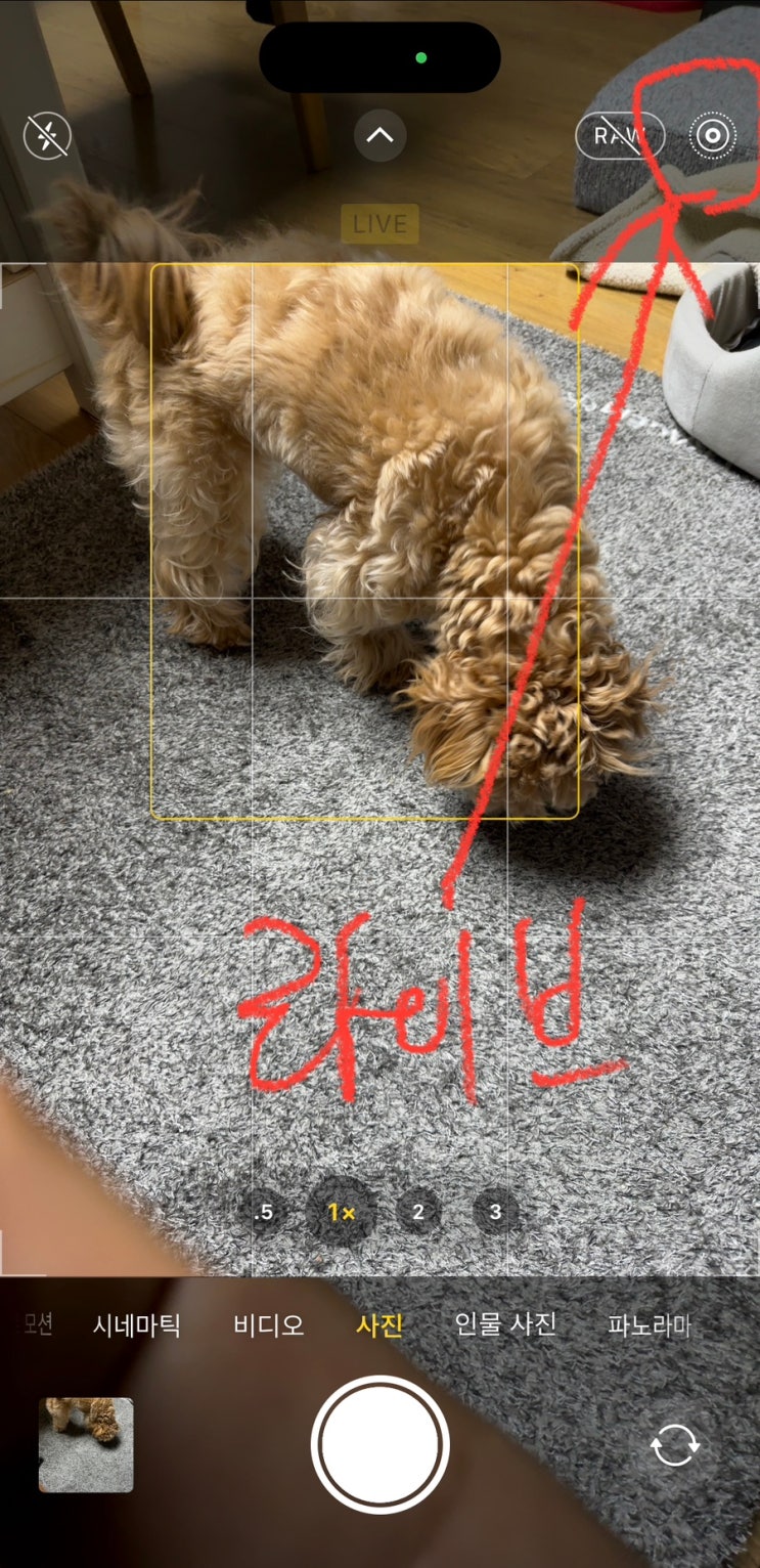  [Q&A] 아이폰 카메라 무음방법 알려주세요. 무음 팁이 있나요?