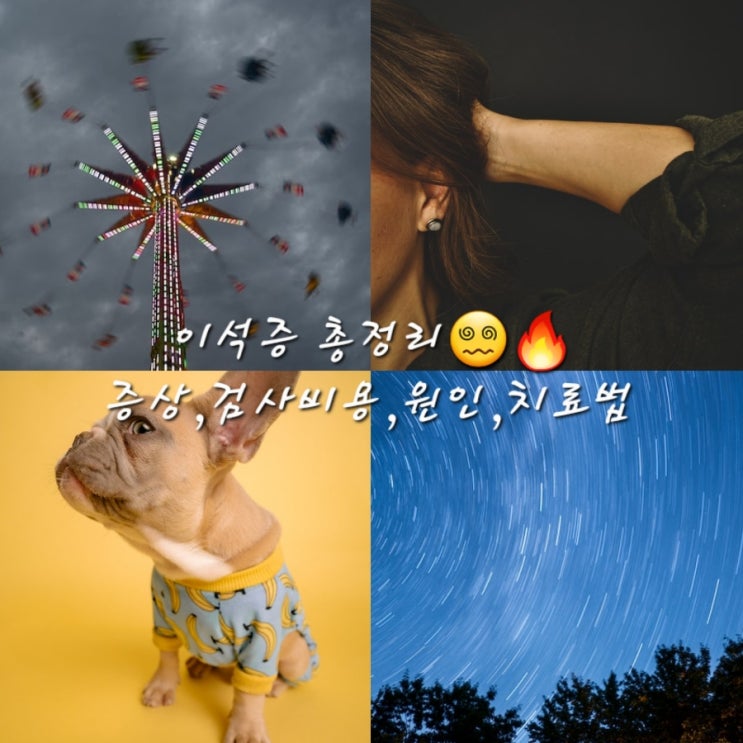  엄마를 위한 《이석증》 총정리증상,어지러움원인,진단,검사비용,좋은음식,안좋음음식,약,치료법