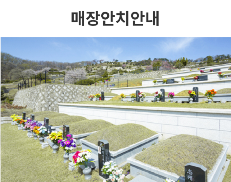 삼성엘리시움 경기도 광주시 오포읍 추모공원묘지 정보 (가족묘/봉안묘/매장묘) : 네이버 블로그