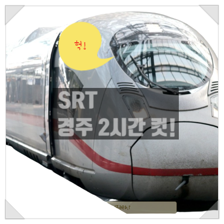  SRT 경주 두시간 컷!