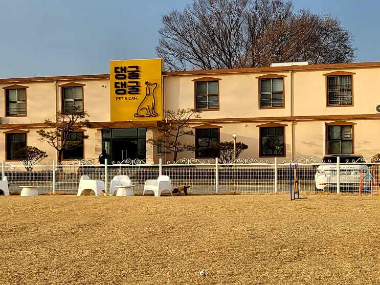  익산/전주 근교 - 김제 애견카페 댕굴댕굴