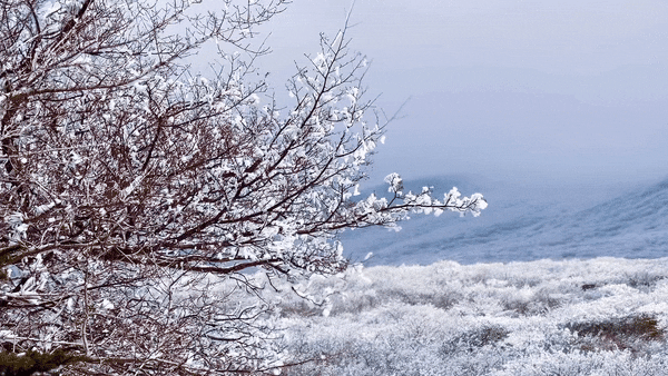  제주도 꼭 가봐야할 곳 제주도 겨울 여행지 추천
