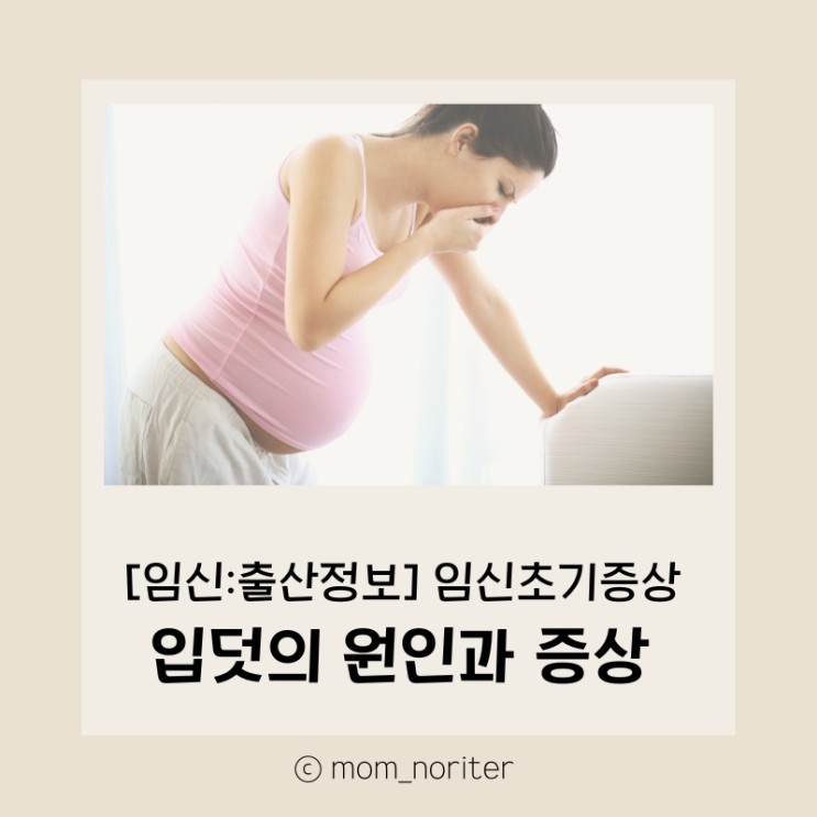 [맘노리터 정보_임신] 임신초기증상 입덧의 원인과 증상 : 입덧을 줄이는 생활 속 방법
