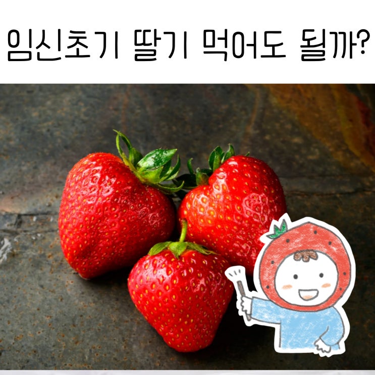  임신초기 딸기 먹어도 될까?