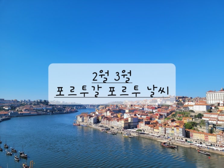  [포르투갈 겨울 봄 날씨] 2월 3월 포르투 날씨 및 옷차림 추천, 따뜻해요