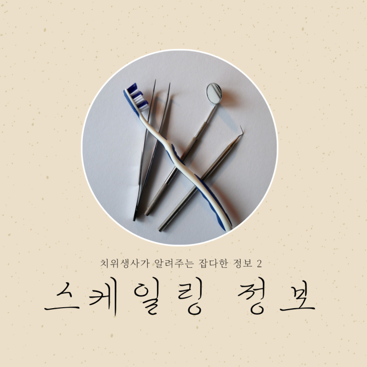  스케일링에 대한 솔직한 정보