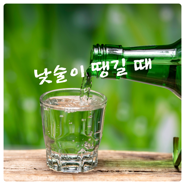  낮술이 땡길 때
