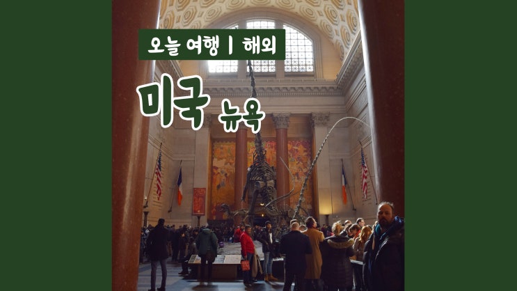 2주 미국 자유여행 : 뉴욕 자연사 박물관, 세인트패트릭 성당, 구겐하임 미술관