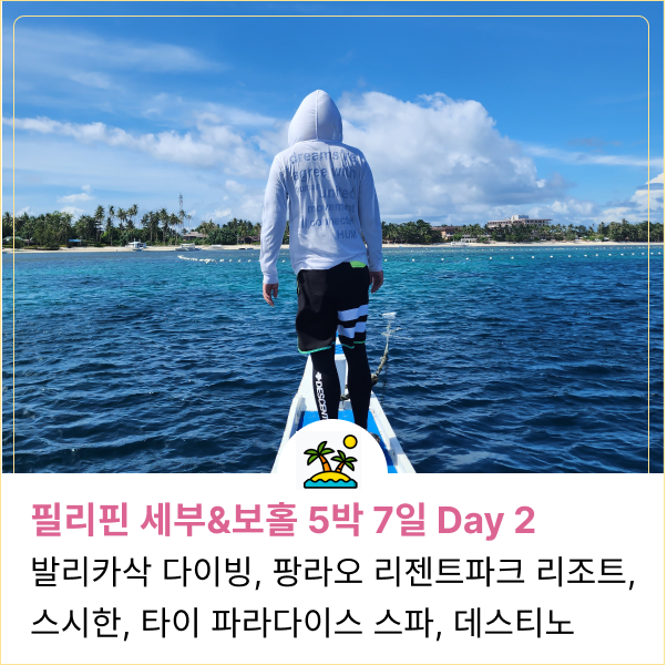  필리핀 세부 보홀 여행 Day 2. 발리카삭 스쿠버 다이빙, 팡라오리젠트 파크, 보홀 스시 맛집 스시한, 타이 파라다이스 스파, 데스티노