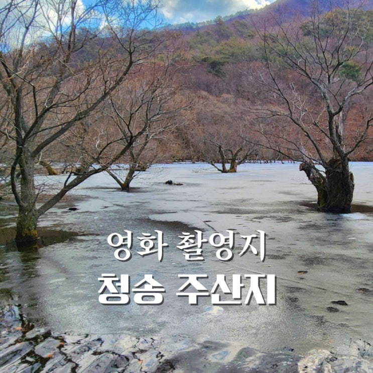  주산지 겨울에도 멋진 영화 봄 여름 가을 겨울 그리고 봄 촬영지