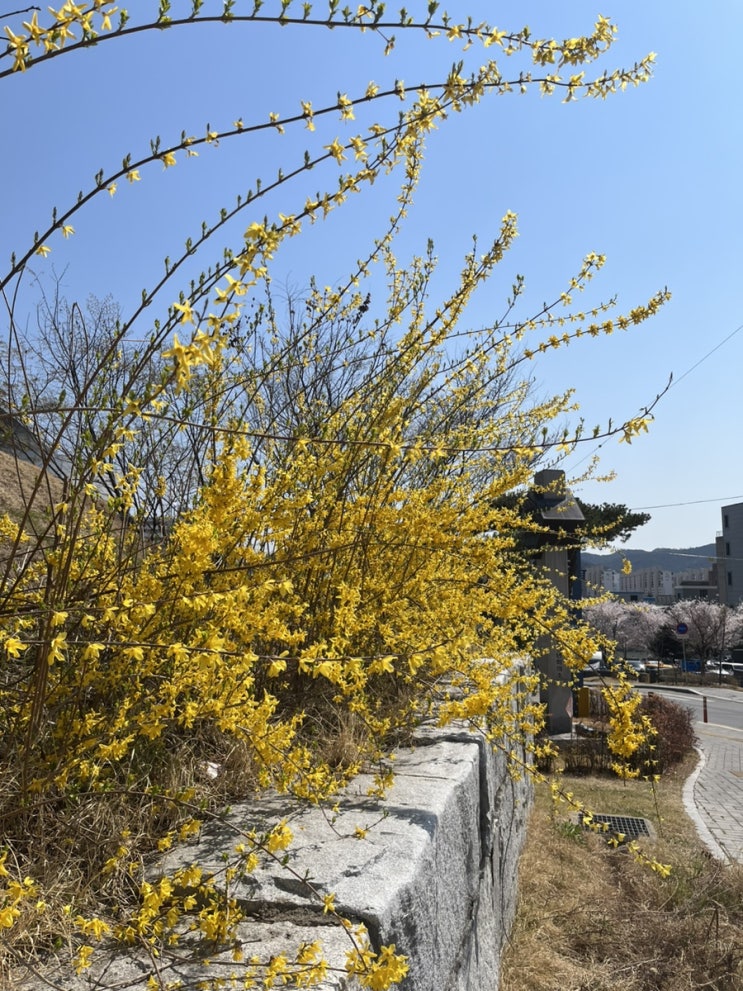  멋진 주말을 보내는 법