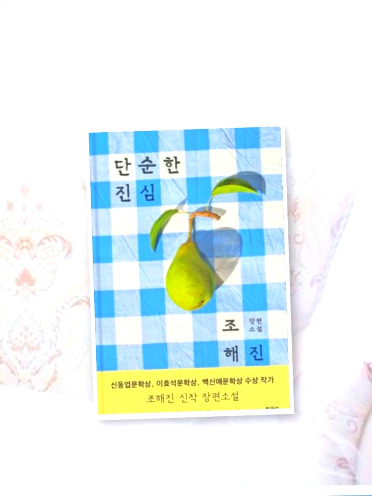  단순한 진심/ 조해진 장편소설
