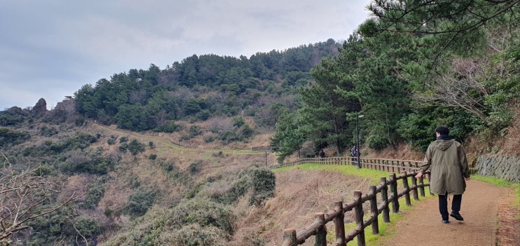  [202302] 제주 한라산 설산 여행기(2) 사라봉공원, 올레길, 올레18길, 별도봉, 사라봉, 모충사, 항일의병기념탑, 사라봉토끼, 달마갈비