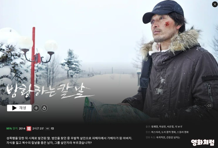  영화 방황하는 칼날 정보 평점 출연진 후기 줄거리 리뷰.(ft. 영화처럼)
