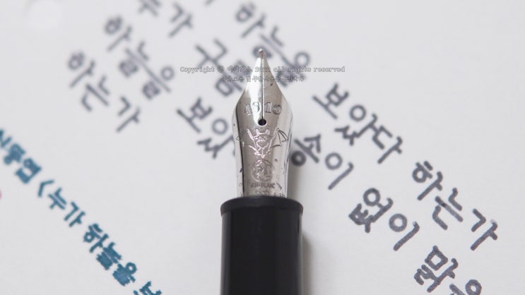  누가 하늘을 보았다 하는가 (몽블랑 요한스트라우스 M닙 만년필로 필사하기)